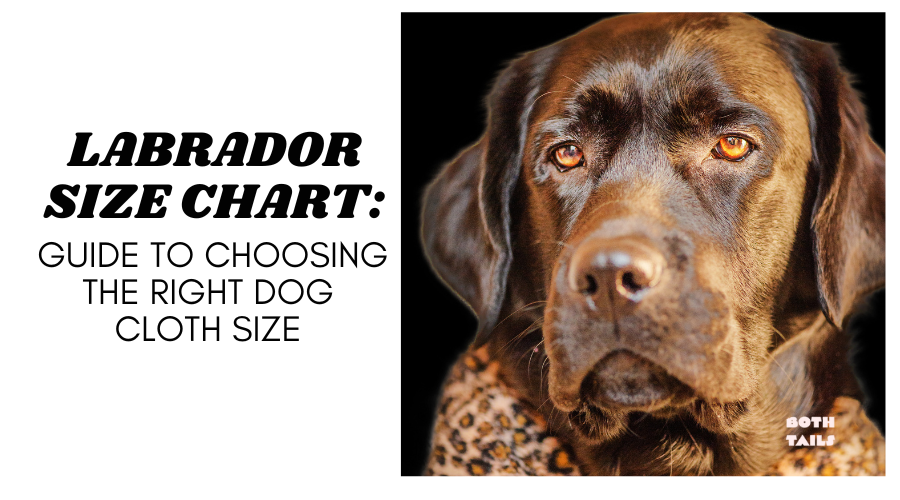 Labrador Size Chart and Measurement Tips: Dress In Style – Both Tails