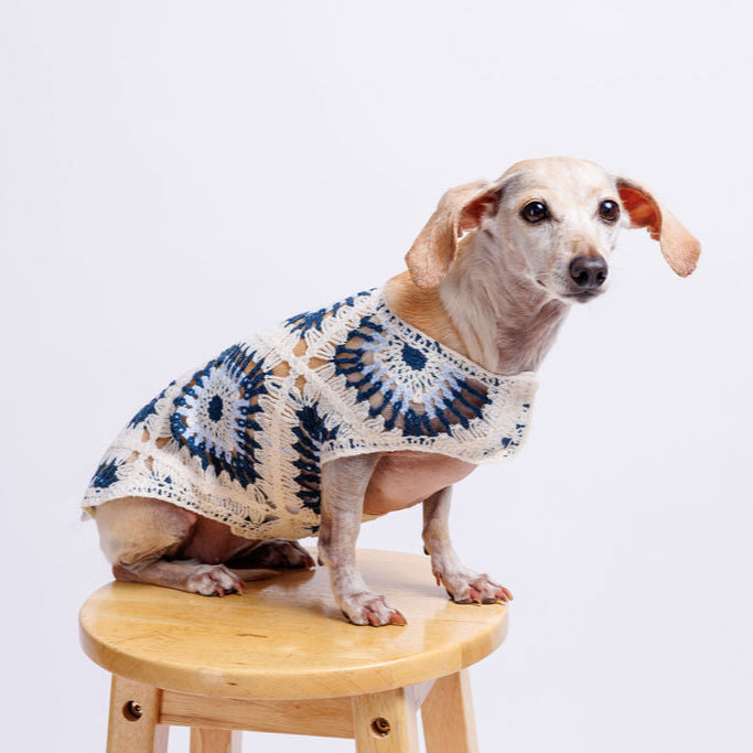Nazar Crochet Dog Top