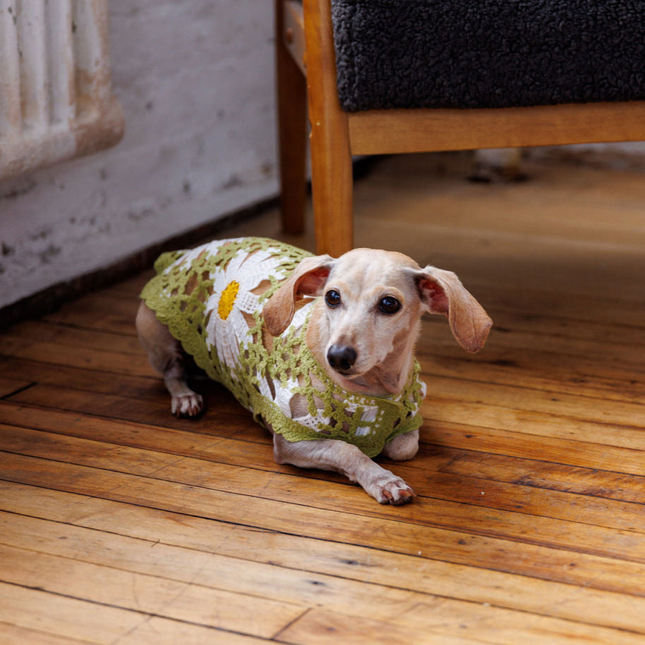 Sunshine Crochet Dog Top