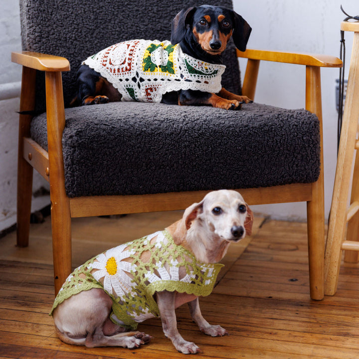 Sunshine Crochet Dog Top