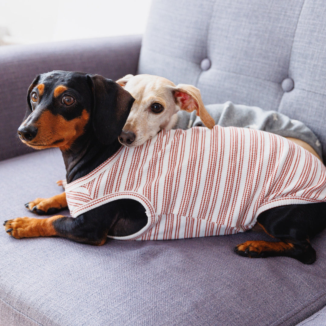 Candy Cane Sleeveless Sweater