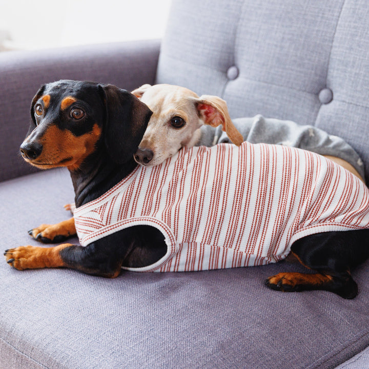 Candy Cane Sleeveless Sweater