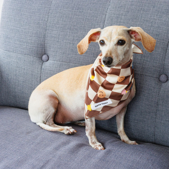 Checkers Dog Bandana