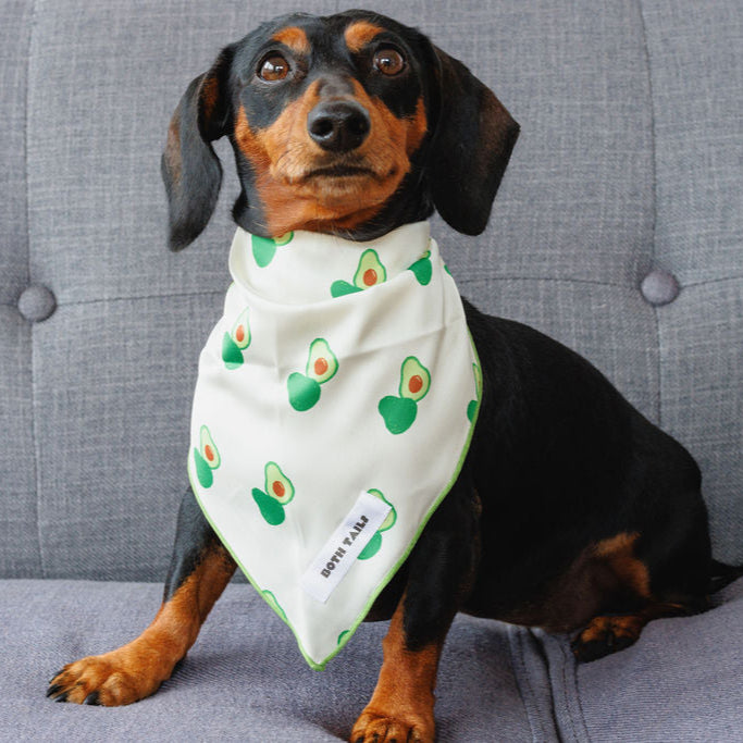 Avocado Dog Bandana