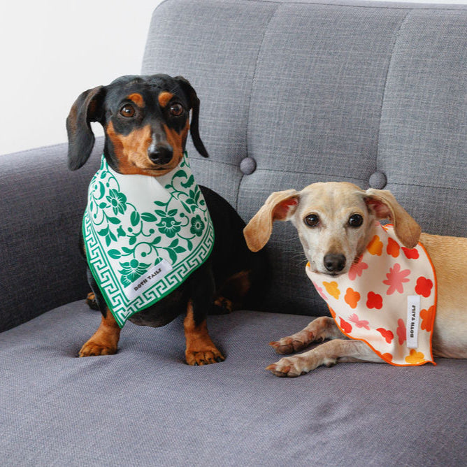 Royal Dog Bandana