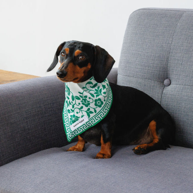 Royal Dog Bandana