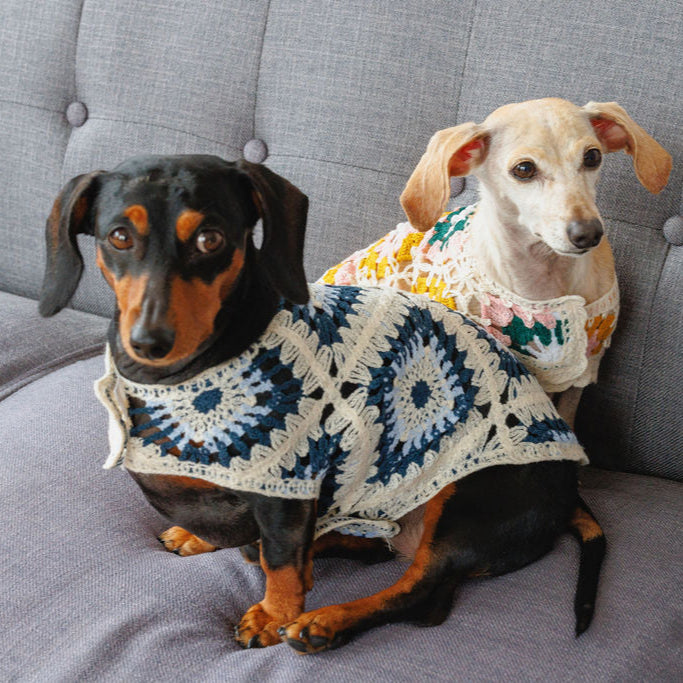 Bubblegum Crochet Dog Top