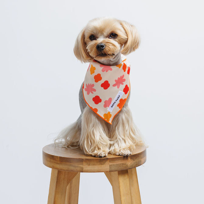 Bubbly Dog Bandana
