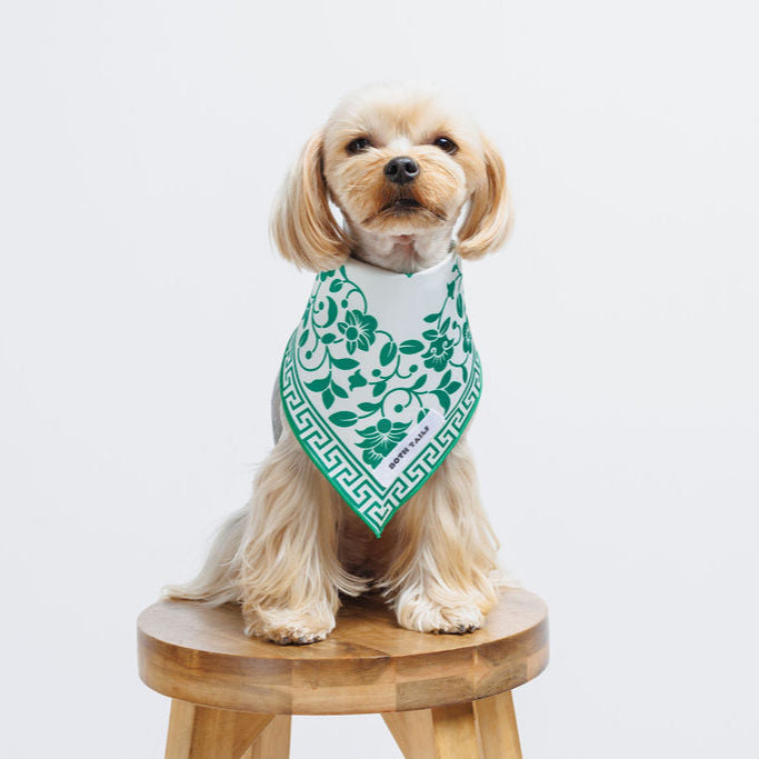 Royal Dog Bandana