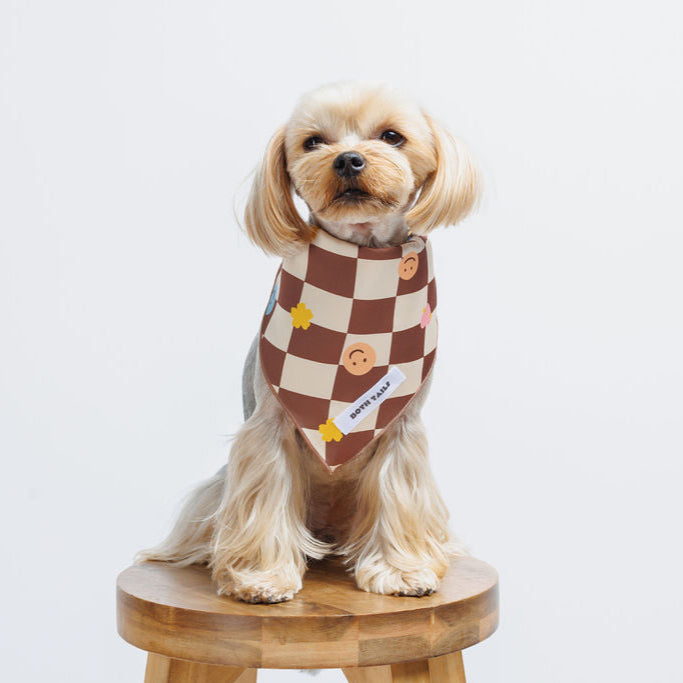 Checkers Dog Bandana