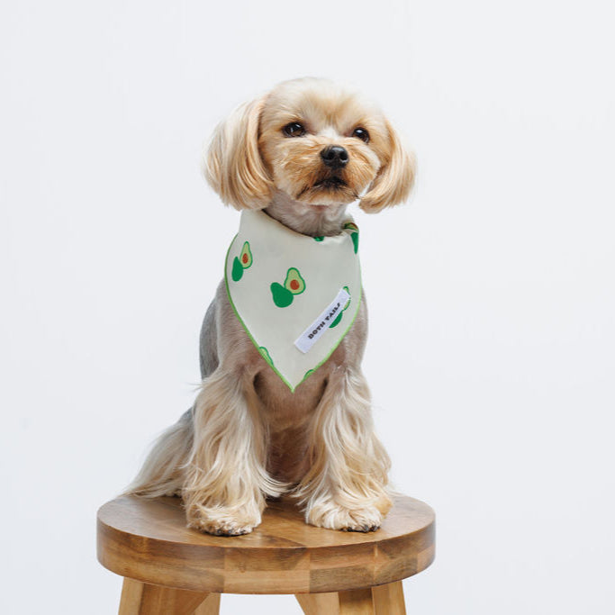Avocado Dog Bandana