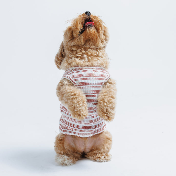 Candy Cane Sleeveless Sweater