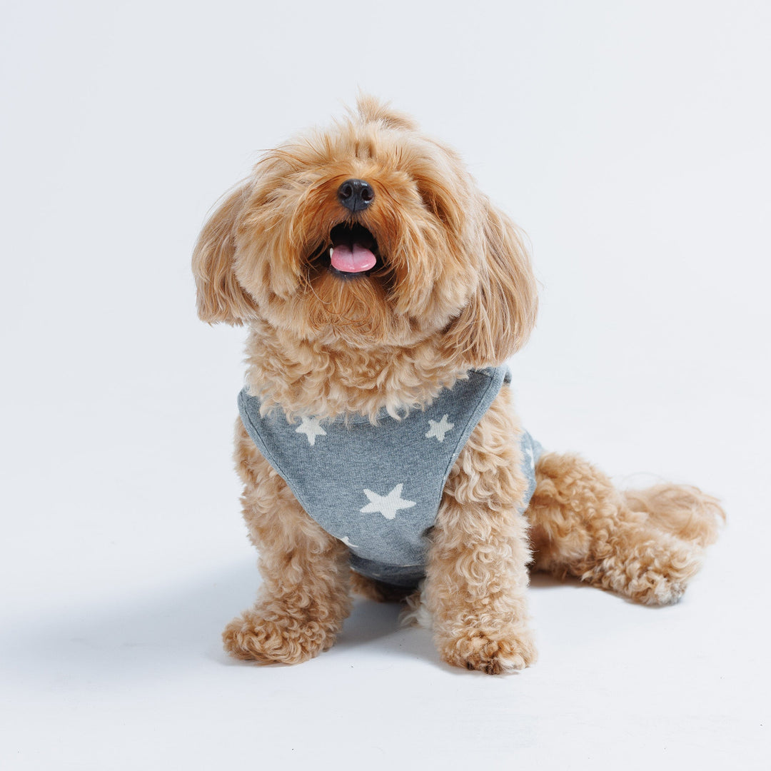 Starry Night Sleeveless Sweater