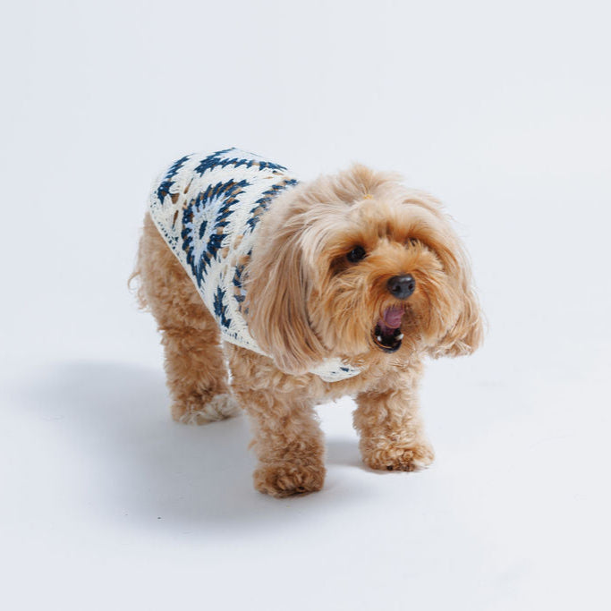 Nazar Crochet Dog Top