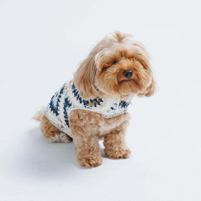 Nazar Crochet Dog Top