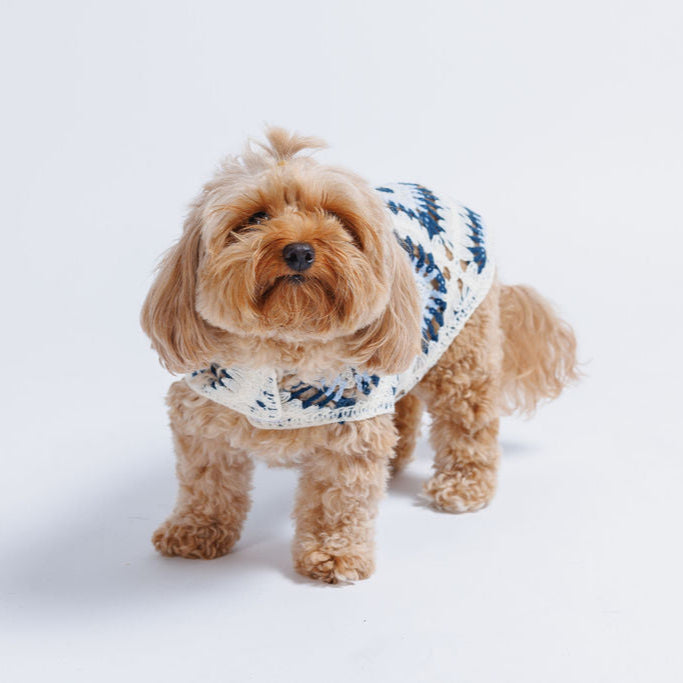 Nazar Crochet Dog Top
