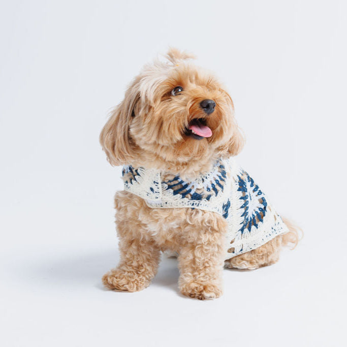 Nazar Crochet Bundle