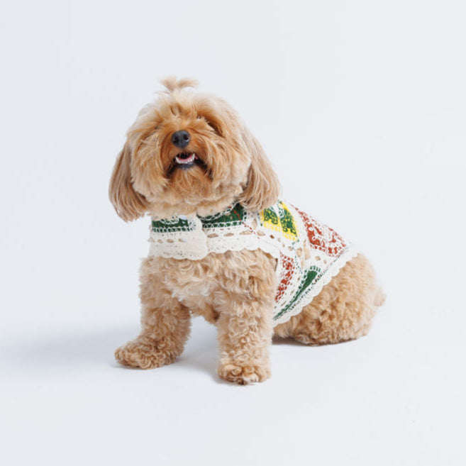Cherry Crochet Dog Top