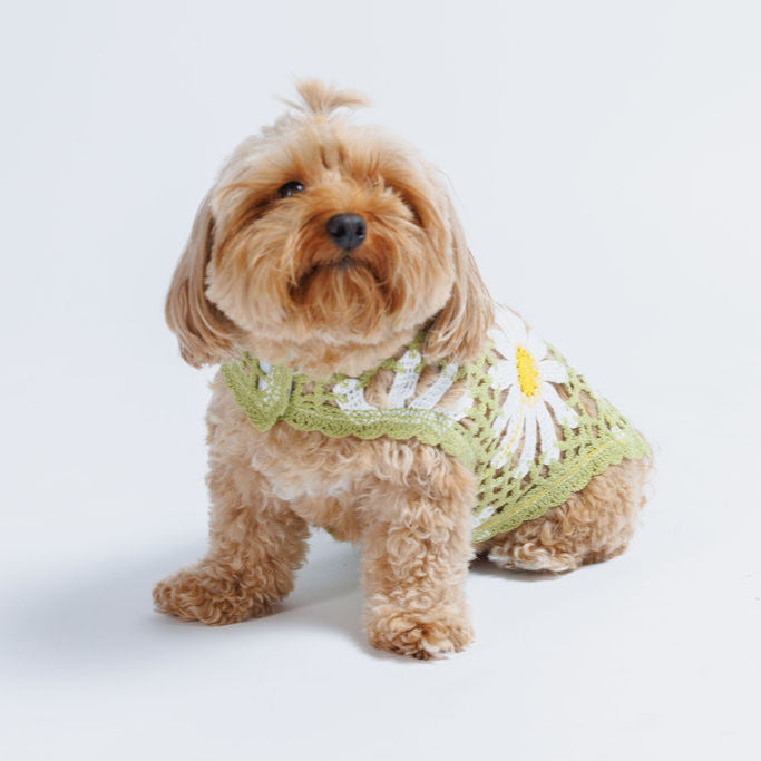 Sunshine Crochet Dog Top