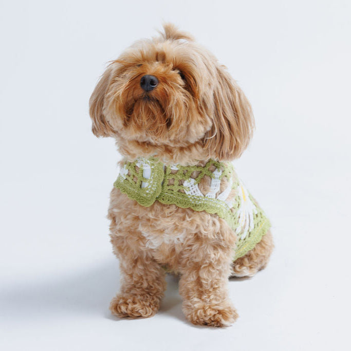 Sunshine Crochet Dog Top