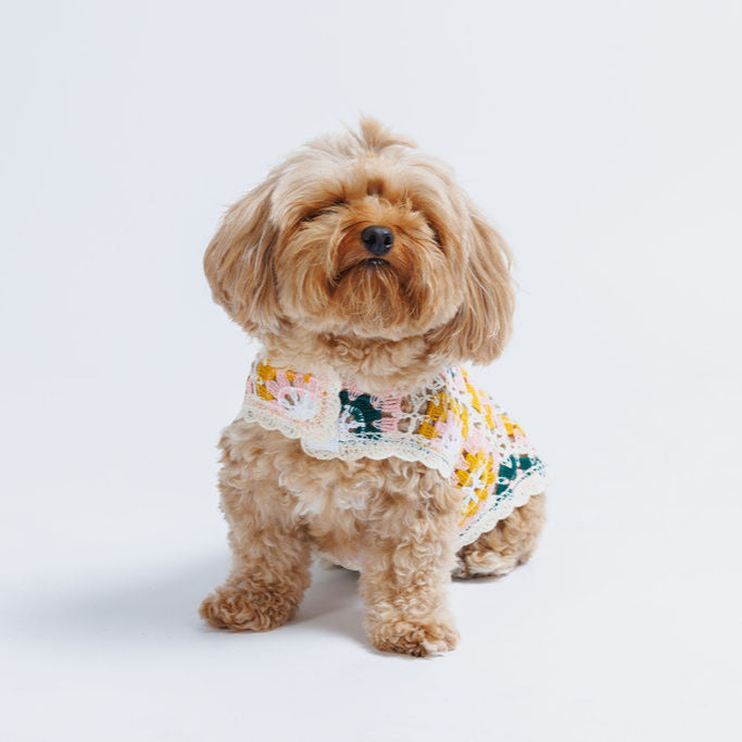 Bubblegum Crochet Dog Top