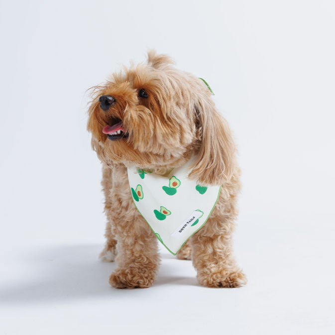 Avocado Dog Bandana