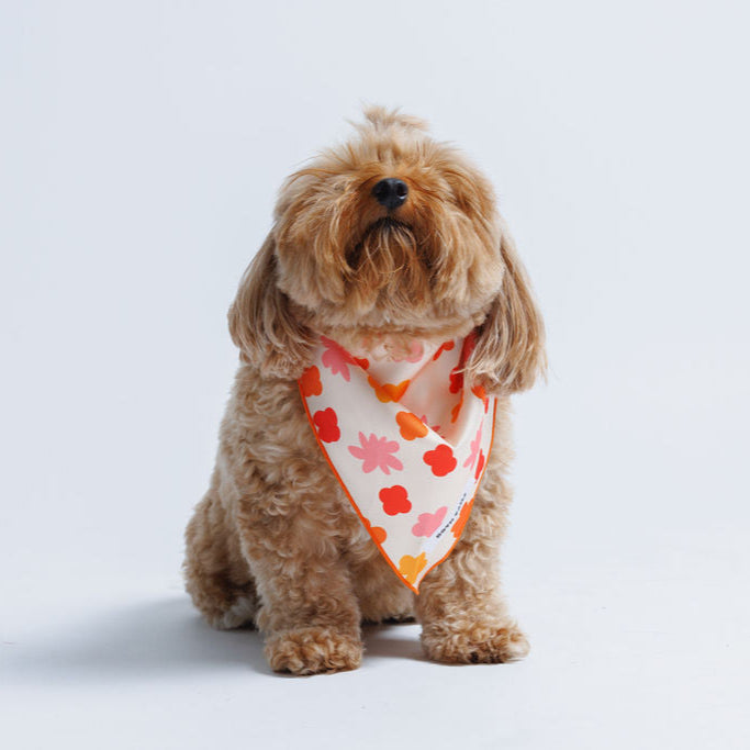Bubbly Dog Bandana