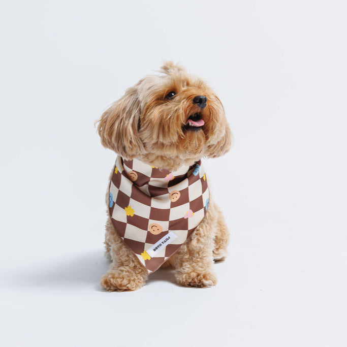 Checkers Dog Bandana