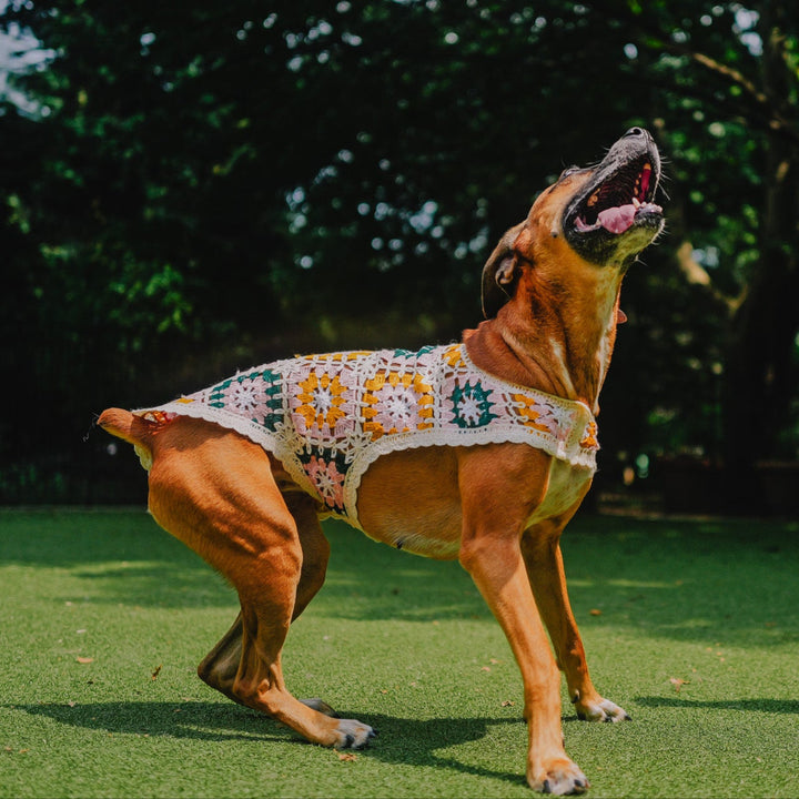 Juliet in Size L