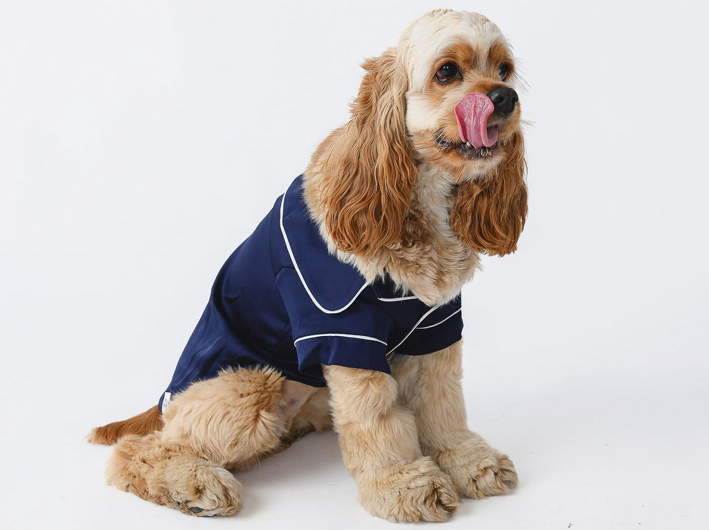 Blue Pet PJs