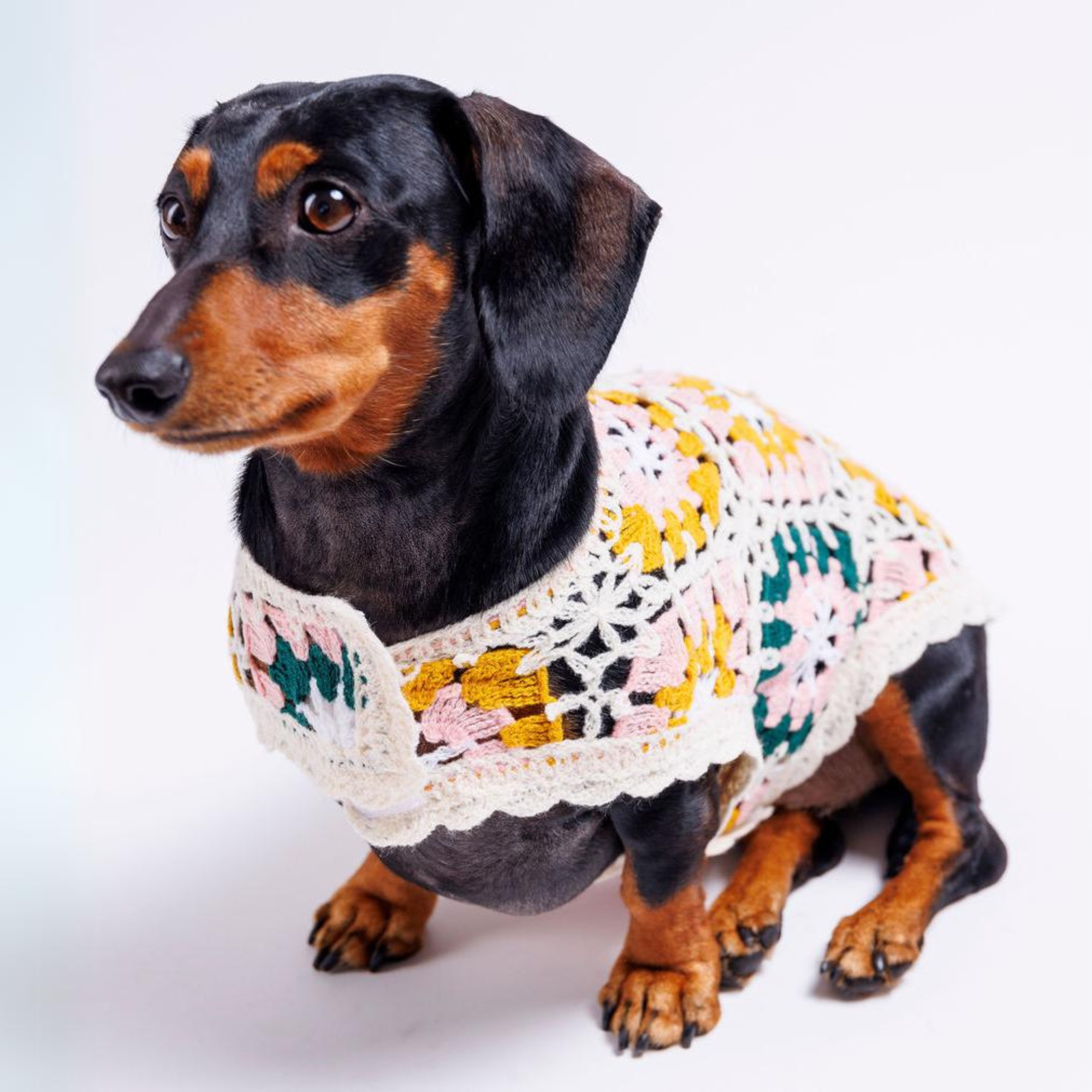 gimmeacarrot 犬用カラフルニットセーター Bubblegum Crochet Dog Top: Colorful And Playful Top | Both Tails