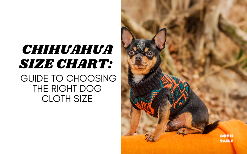 Chihuahua Size Chart: A Guide To Dog Clothes Sizing – Both Tails