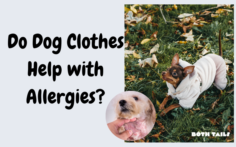 protective clothing for dogs