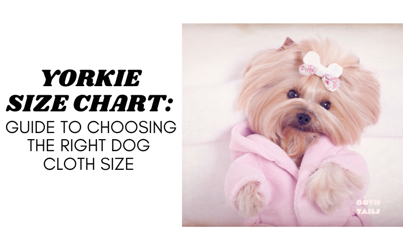 Yorkie Size Chart and Measurement Tips: Dress In Comfort – Both Tails