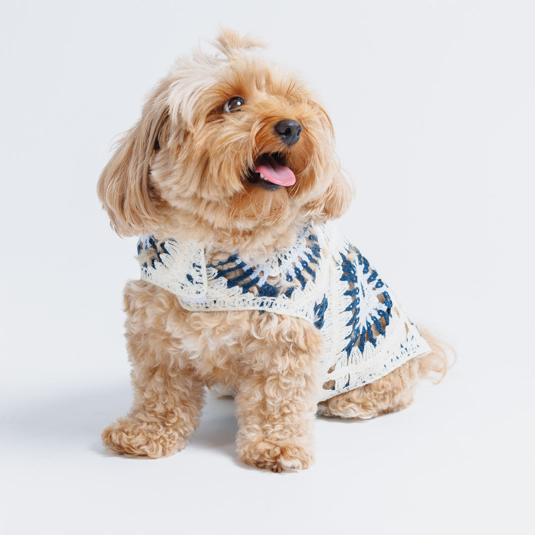 Crochet