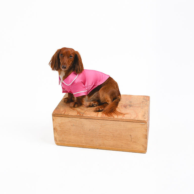 Pink Dog Pajamas | Satin Loungewear | Both Tails