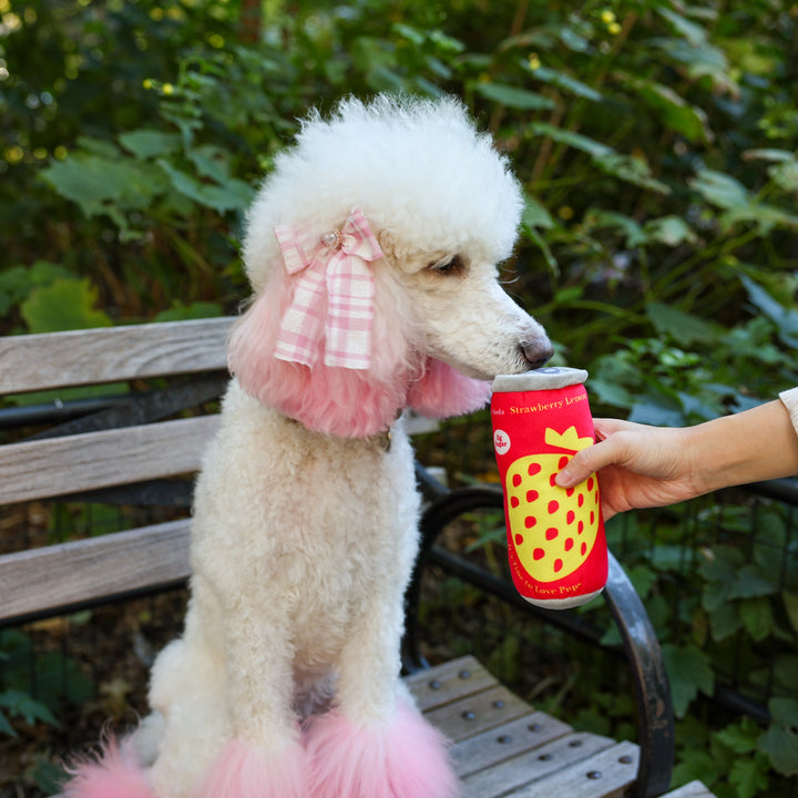 Puppi Soda Can Dog Toy with Squeaker