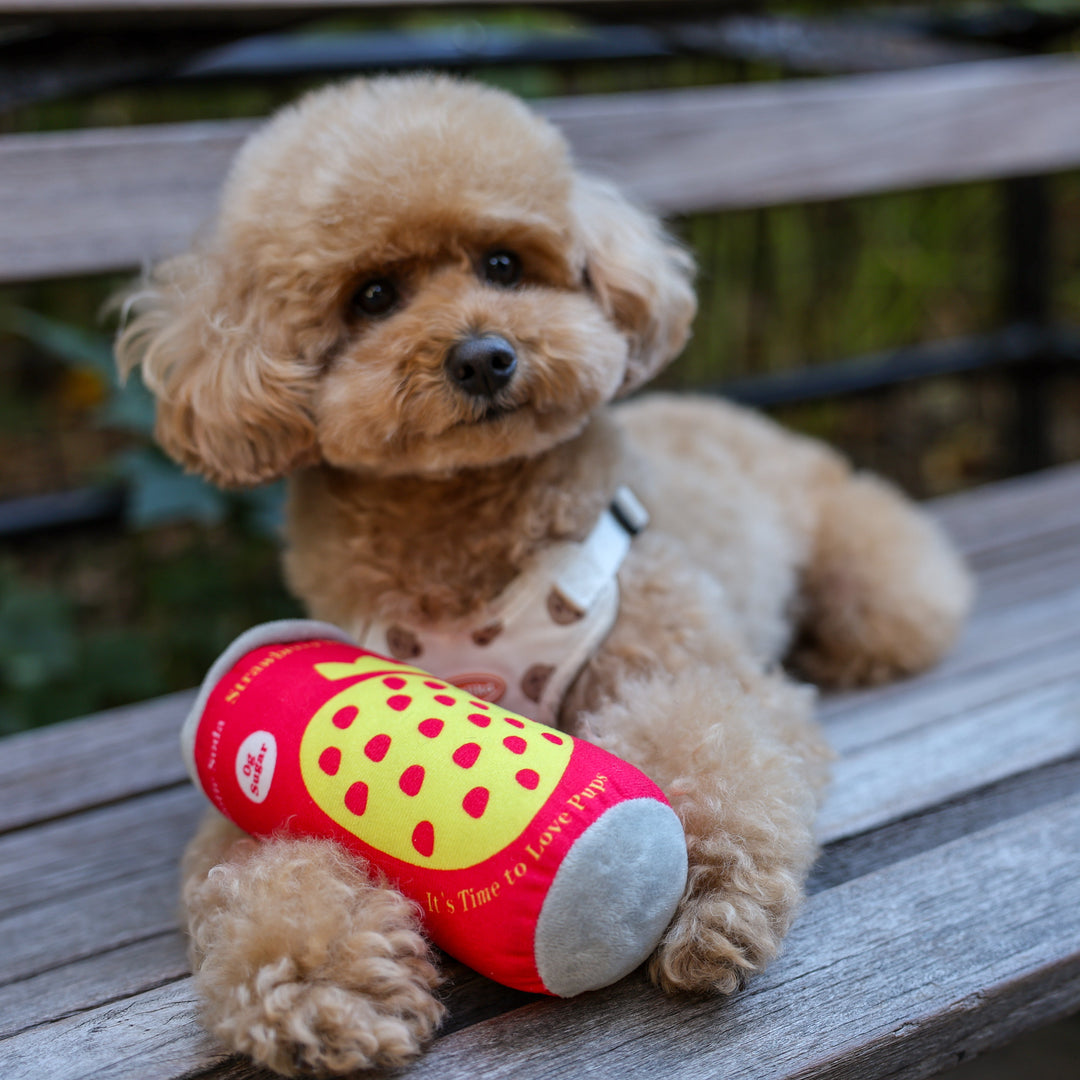 Puppi Soda Can dog toy being played with