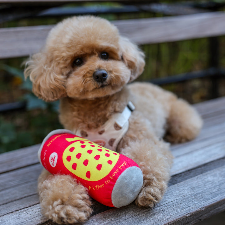 Puppi Soda Can dog toy being played with