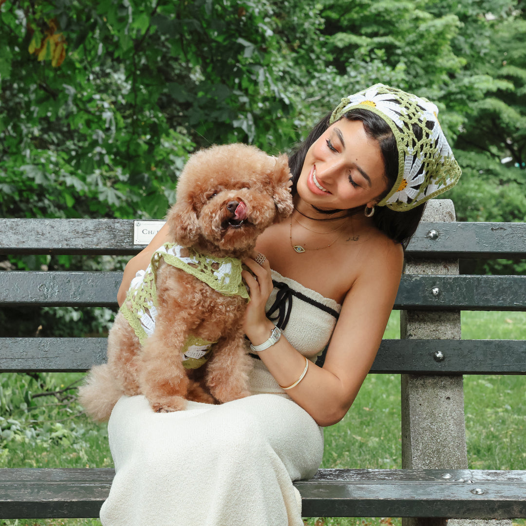 Sunshine Crochet Bundle, Matching Dog Top and Bandana Set