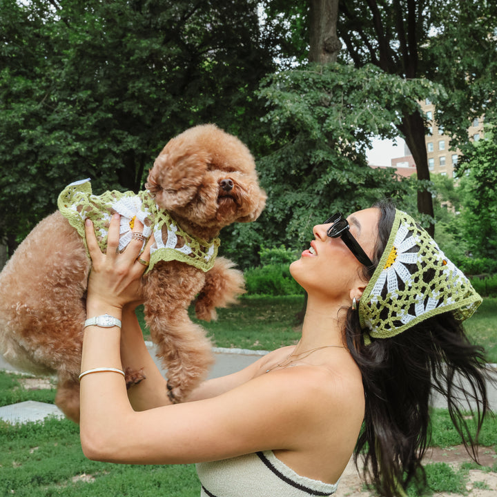 Sunshine Crochet Dog Bandana, Handmade Knit Pet Accessory