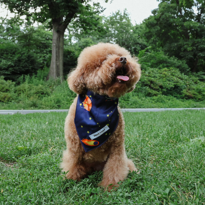 Astro Print Dog Bandana, Cute Pet Accessory