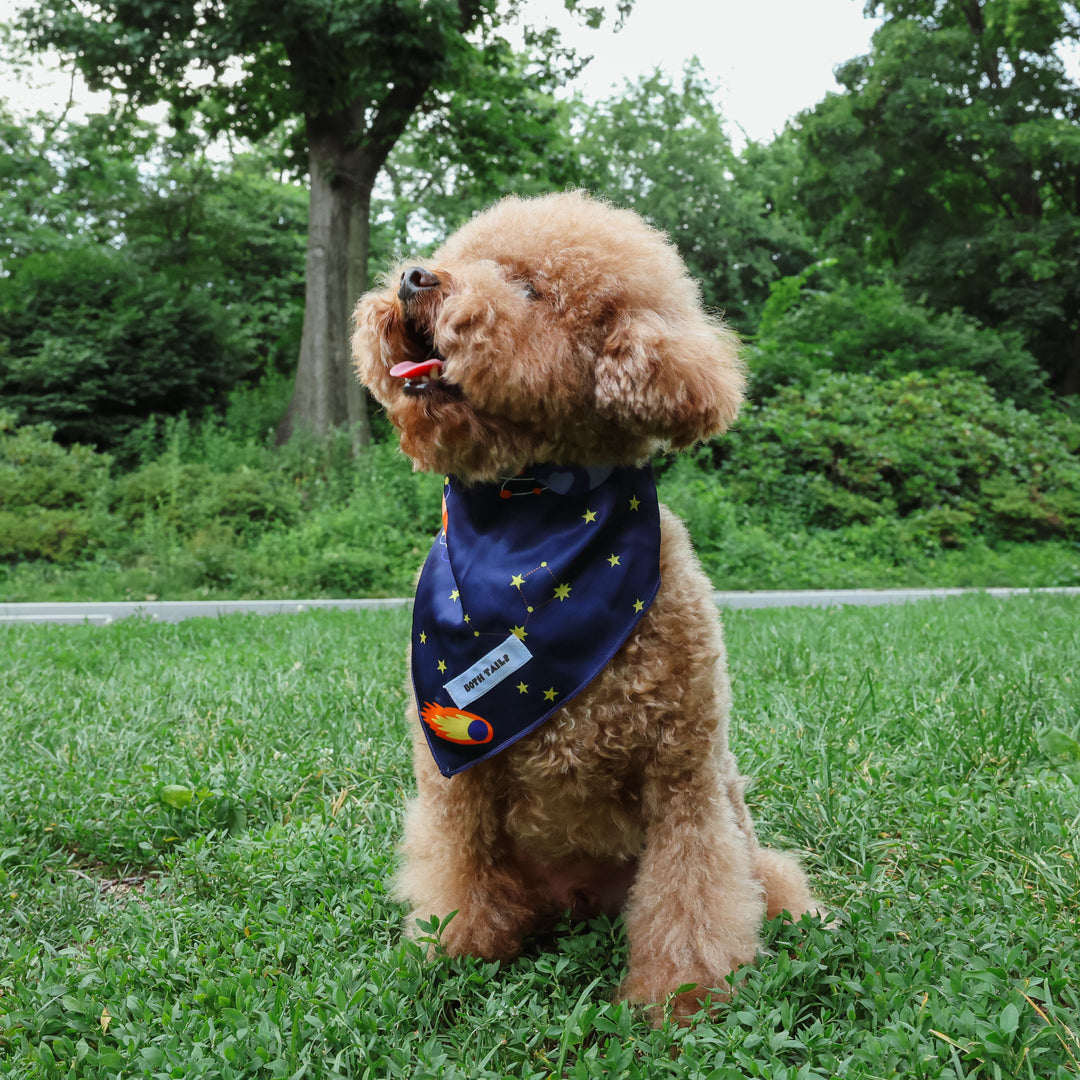 Astro Print Dog Bandana, Cute Pet Accessory