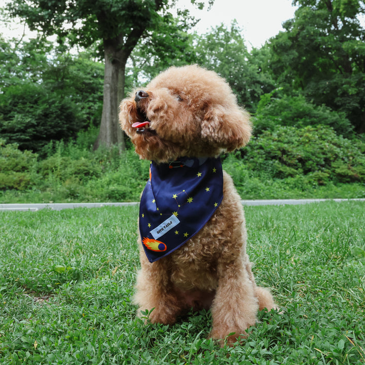 Astro Print Dog Bandana, Cute Pet Accessory