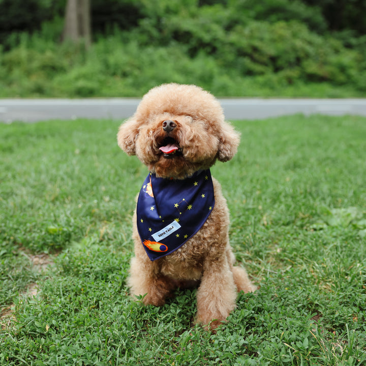 Astro Print Dog Bandana, Cute Pet Accessory