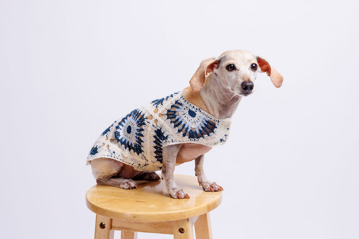 Nazar Crochet Dog Top