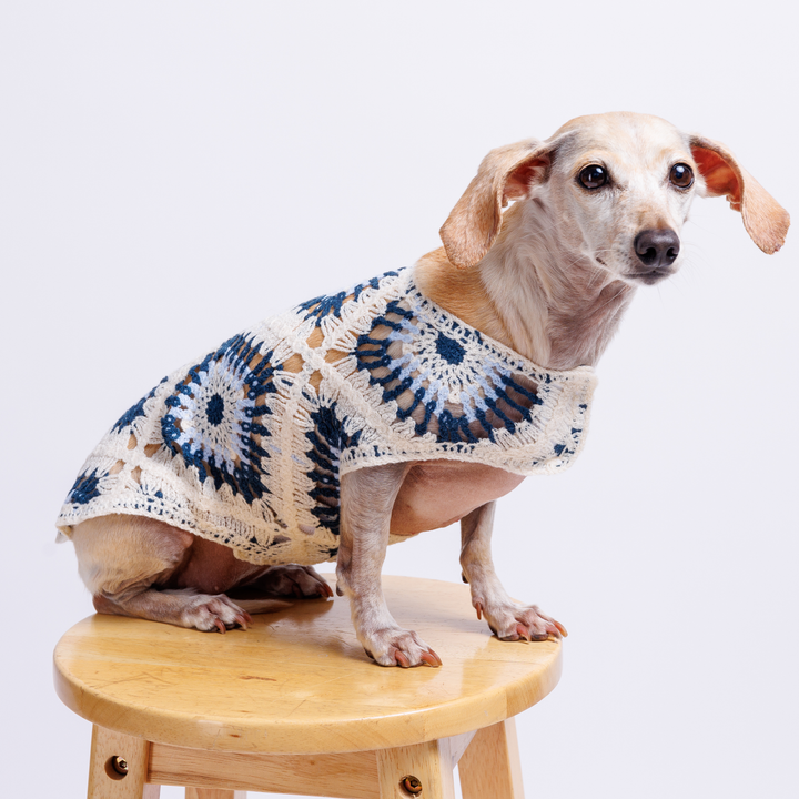 Nazar Crochet Dog Top, Lightweight Knit Sweater