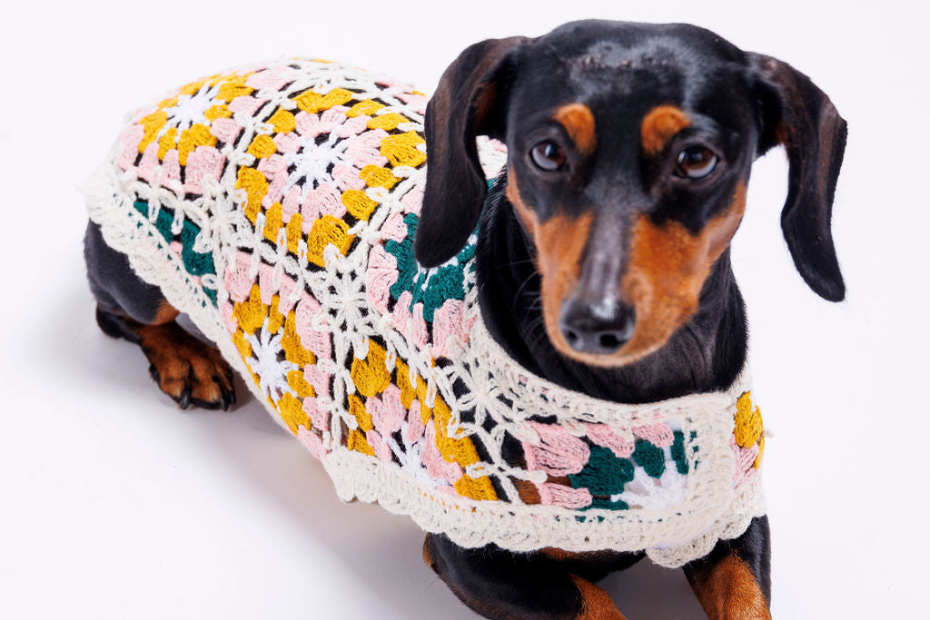 Bubblegum Crochet Dog Top