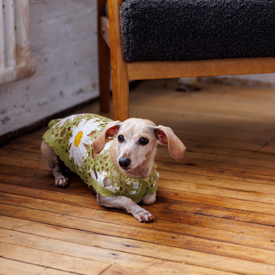 Sunshine Crochet Dog Top, Lightweight Knit Sweater for Small Dogs