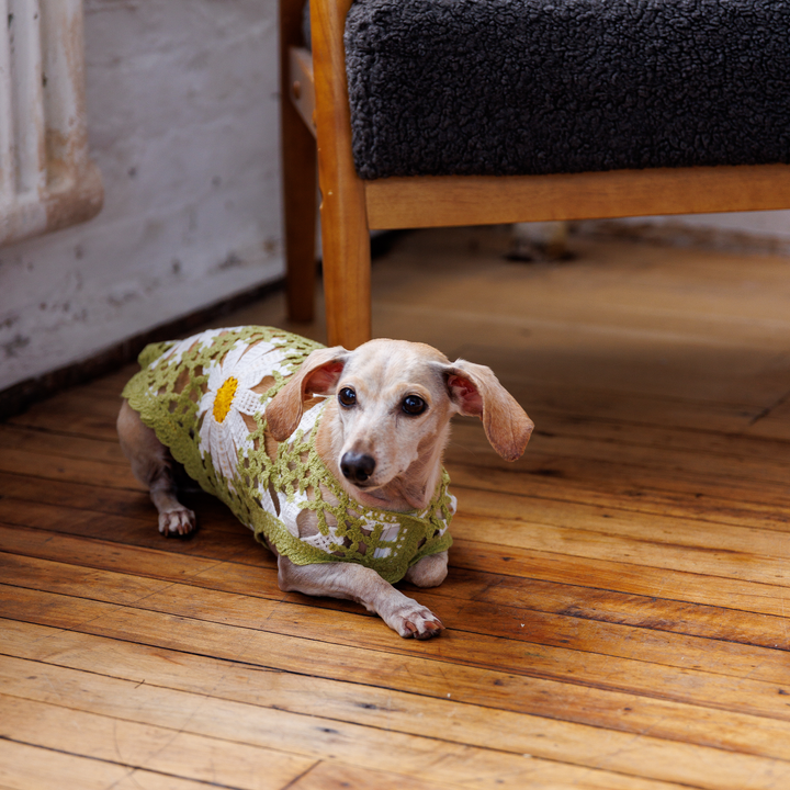 Sunshine Crochet Dog Top, Lightweight Knit Sweater for Small Dogs